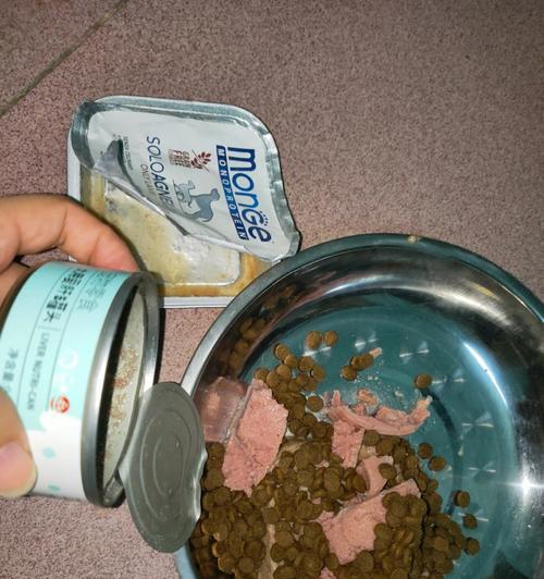 狗狗肾脏不好吃什么？（保护狗狗肾脏健康，远离以下食物）