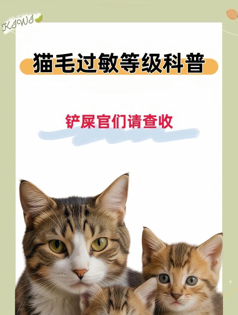 猫毛过敏的原因及解决方法（揭开猫毛过敏的谜团，让你和喵星人和平相处）