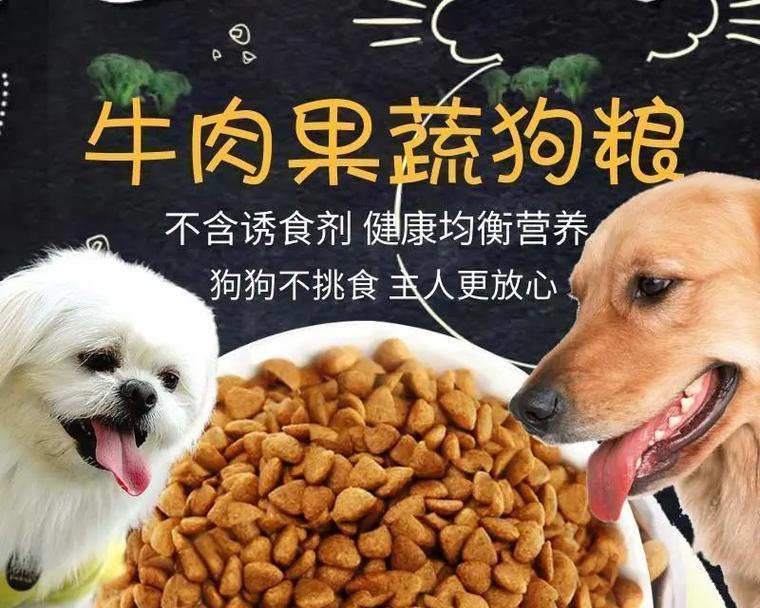 小土狗没有狗粮，吃什么？（养小土狗的主人们请注意，这里有一些建议！）