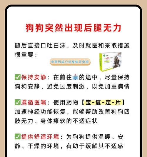 狗狗呕吐和吐白沫的原因解析（探究狗狗呕吐和吐白沫的成因及如何应对）