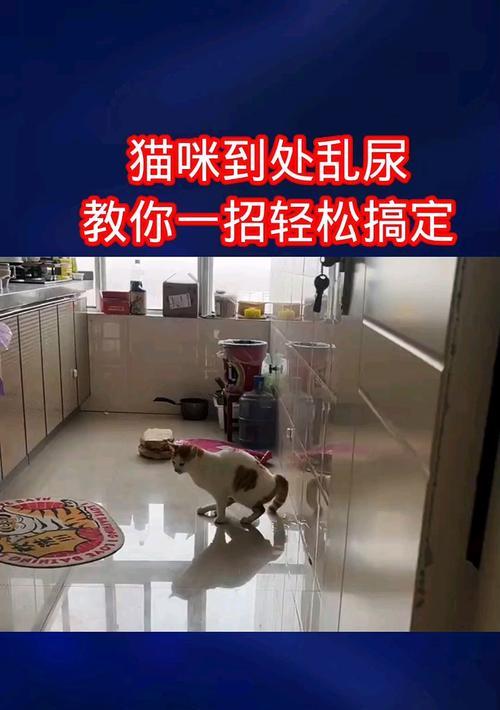 猫老了为什么会到处尿？（探究老猫尿失禁的原因和解决方法）