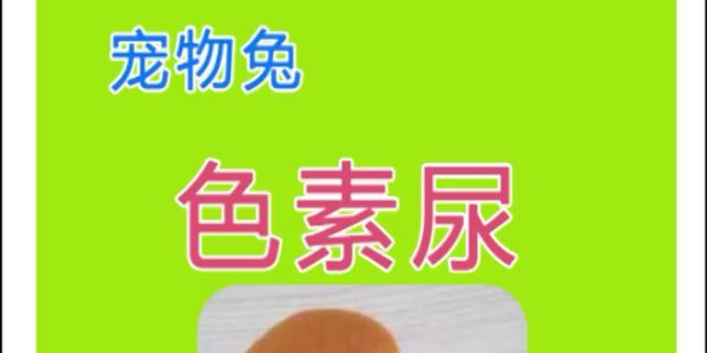 兔子为什么吃自己的尿？（探索兔子尿液的食用习惯和功能）
