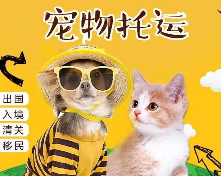 运输活狗所需手续及注意事项（了解运输活狗的法律要求和安全措施）
