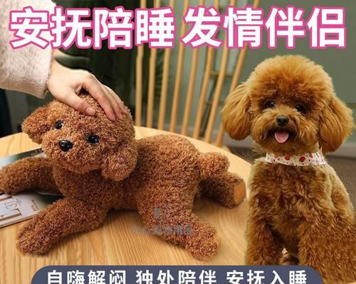 狗狗配狗的注意事项（确保顺利繁殖的关键要点）