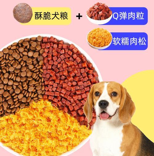 比格犬饮食指南（选择合适的狗粮是关键）
