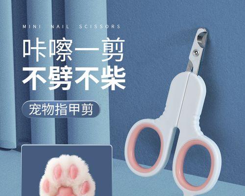 拥有一只猫咪的好处（猫剪带给我们的幸福与健康）
