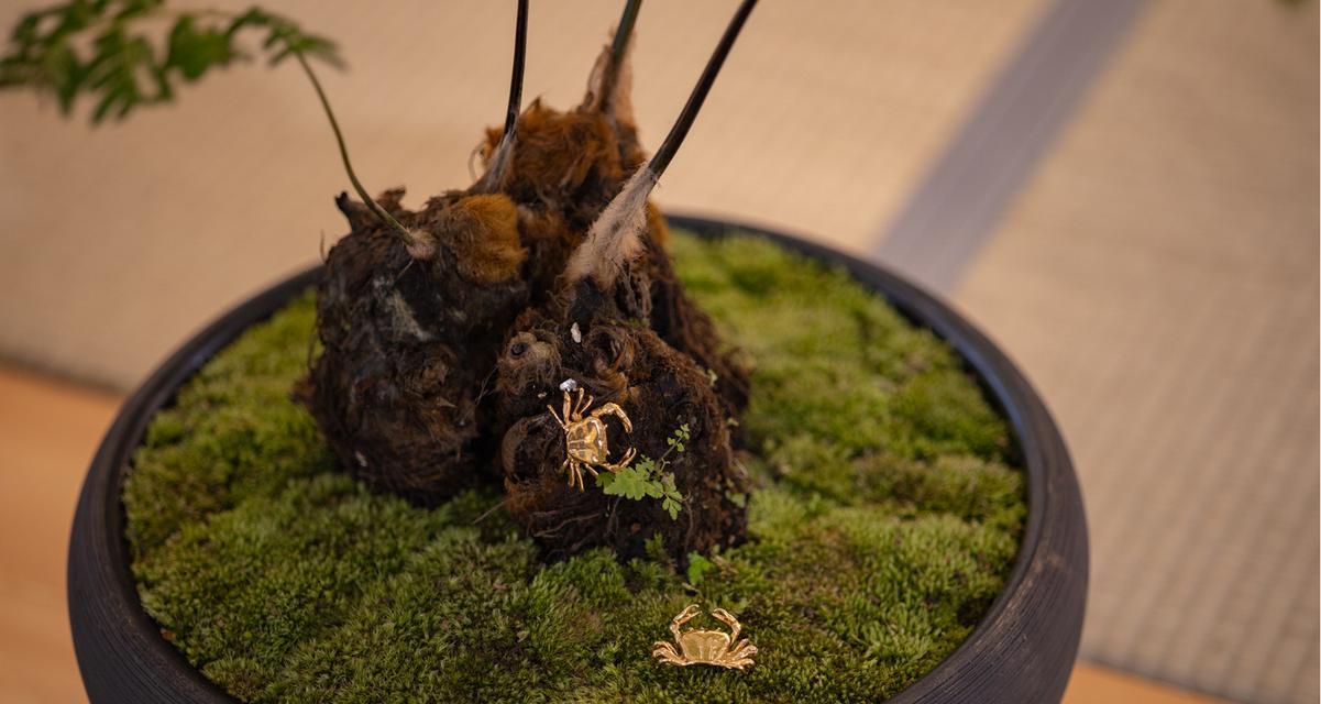小心！这些植物对狗狗有毒（了解这些植物，保护你的宠物安全）