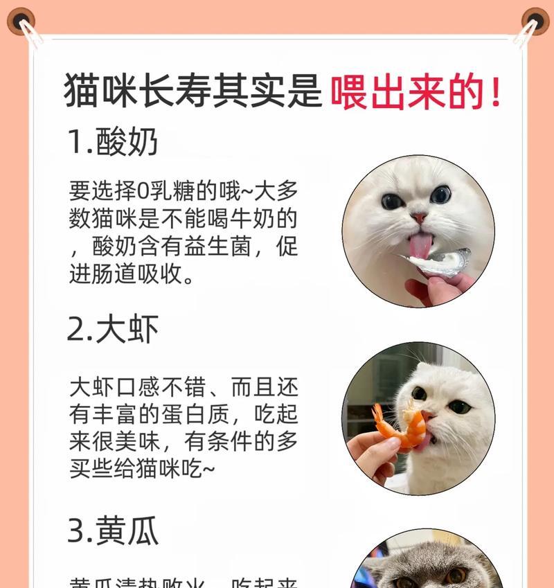 猫能吃的东西大揭秘（了解猫咪饮食习惯和适宜食品，保持它们的健康和幸福）