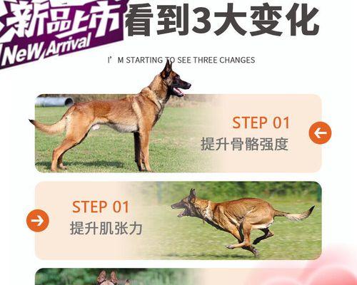 以德牧微量元素（深入了解微量元素及其作用）