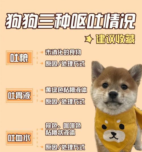 小狗呕吐后适宜饮食（给小狗提供正确的食物选择）