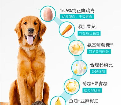 刚满月拉布拉多的营养需求（为你的小狗选择合适的狗粮）