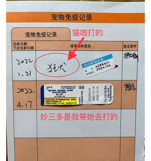 母猫绝育的必备准备（为您的母猫做好绝育手术前的准备工作）