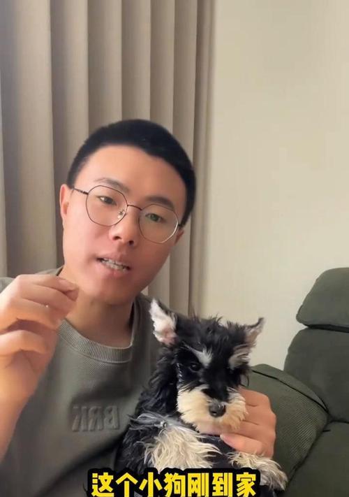 狗狗频繁洗澡的危害与注意事项（为什么不能频繁给狗狗洗澡？）
