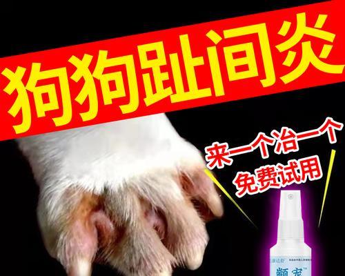 小狗三天不拉屎怎么办？常见的药物治疗方法（药物治疗小狗便秘的有效途径与注意事项）