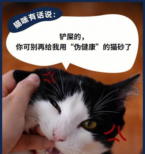 为什么猫会吃猫砂？（探究猫吃猫砂的原因和可能的危害）