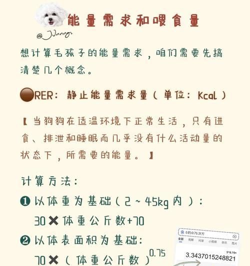 狗狗的饮食需求（提供充足热量，让你的狗狗健康成长）