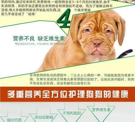 以泰迪换牙的饮食需求（宠物狗换牙期间的营养保障）