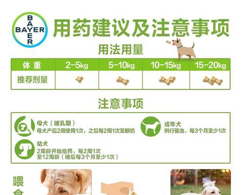 泰迪宝宝驱虫的最佳时间与方法（宠物养护指南）