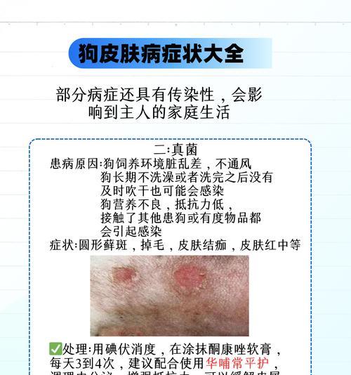 狗狗的不适症状及应对方法（宠物狗狗的身体不适表现及急救措施）