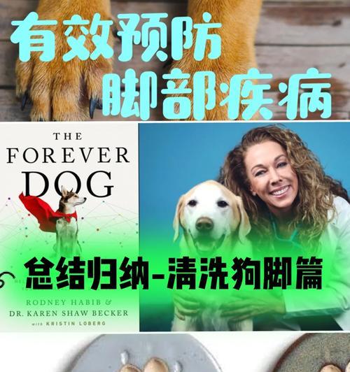 狗脚狼趾的神奇作用（探秘狗脚狼趾的医疗价值和药用功效）