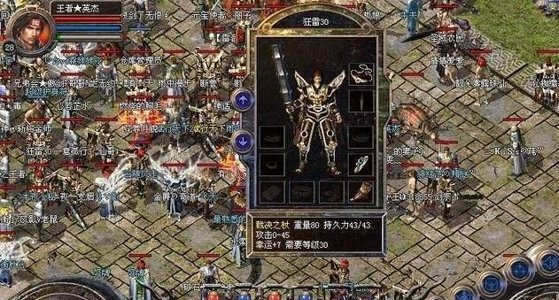 以全身灰色为主题的品种特点与魅力（灰色美的独特魅力及其引人注目的品种）