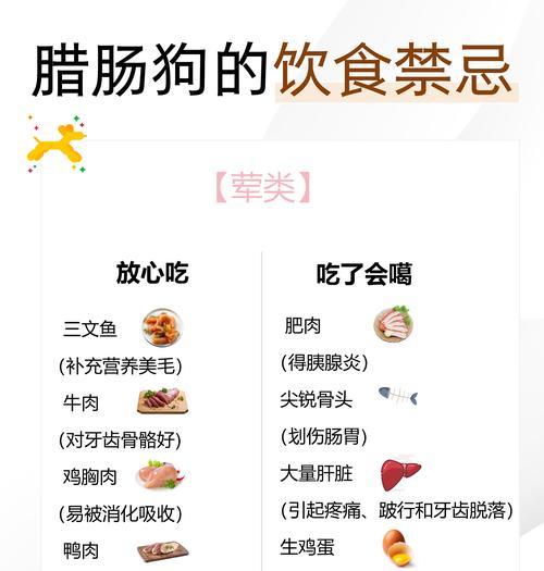 狗狗肠胃不好怎么办？（给狗狗选择适宜的食物，关注健康）