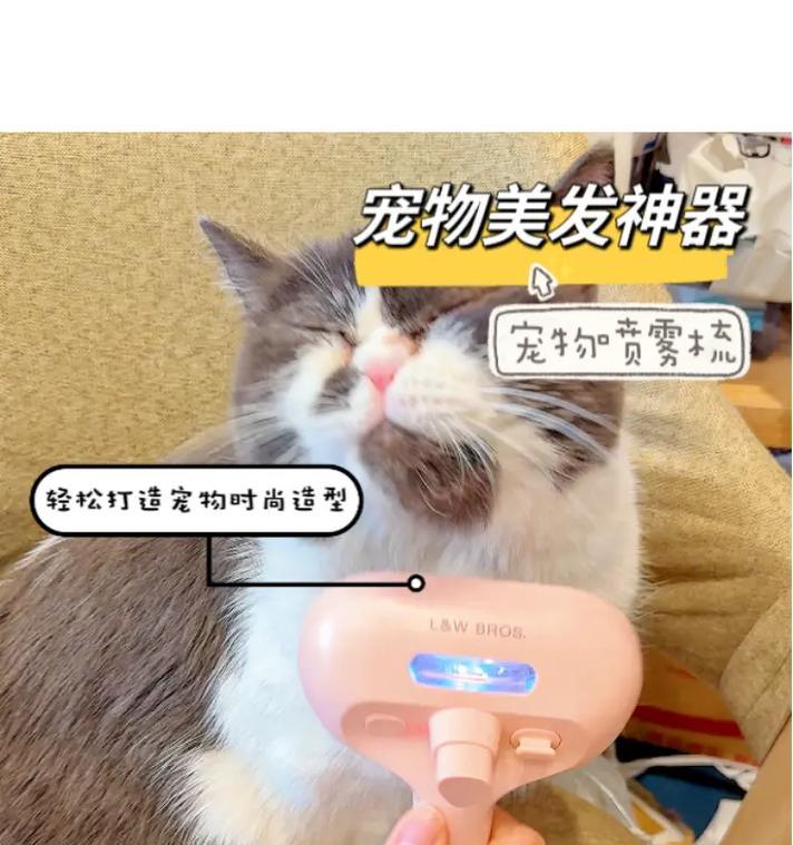 为什么一定要使用宠物专用梳子？（探索宠物专用梳子的优势和必要性）