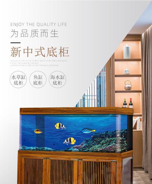 选择草缸底柜，打造舒适鱼缸环境（以草缸用什么底柜好？-打造理想的水草缸装饰）