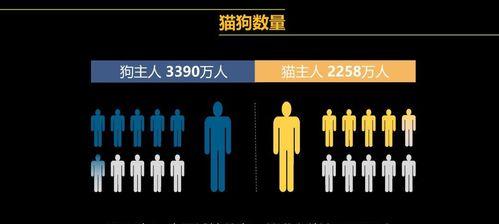 猫和狗（探究猫和狗的不同特点与优势）