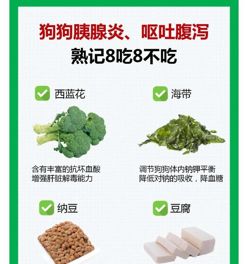 小狗胰腺炎的预防与治疗（注意事项和健康守则）