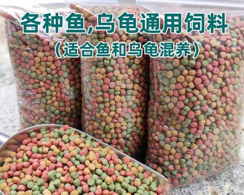 探讨锦鲤和乌龟混养的饲养之道（锦鲤和乌龟混养的最佳组合及饲养技巧）