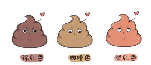 狗大便臭的原因与治疗方法（了解狗大便臭的原因，掌握有效的治疗方法）