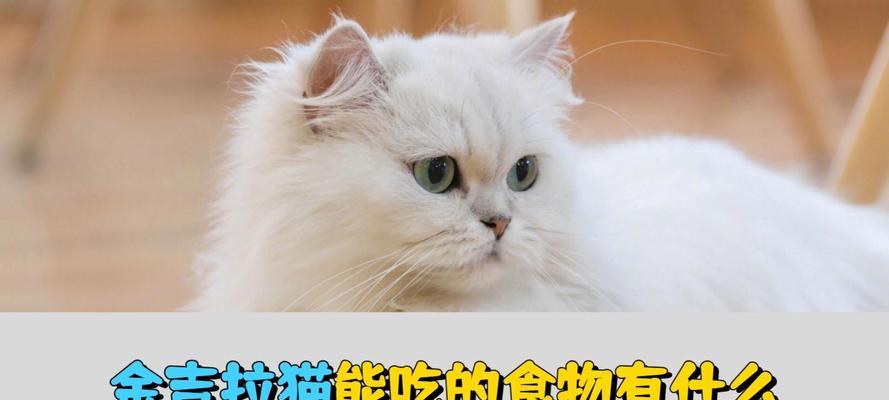 成年猫的饮食需求与营养搭配（科学饲养，让猫咪健康成长）