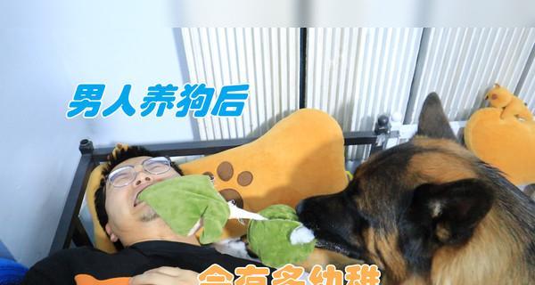 以德牧交配后的注意事项（保障德牧繁殖的健康与成功）