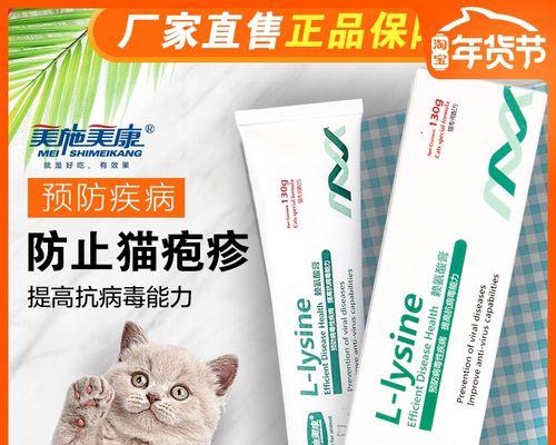 狗狗受伤后所需的营养保障（了解营养需求，助力狗狗康复）