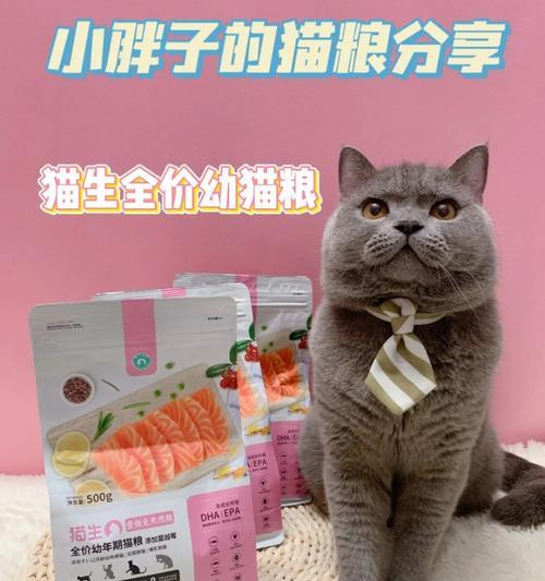新生小猫的饮食需求与喂养技巧（健康成长关键，教你正确喂养小猫！）