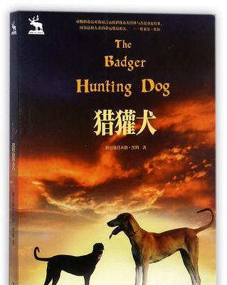 猎犬（猎犬的特点、训练方法及应用领域）