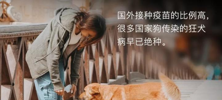 狗狗疫苗（了解狗狗疫苗中常用的稀释剂种类和选择方法）