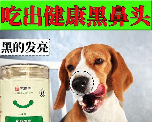 如何改善因狗鼻子褪色而引起的问题