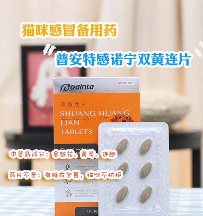 猫咪感冒怎么办？药物治疗指南（猫咪感冒需要注意的事项及药物选择）