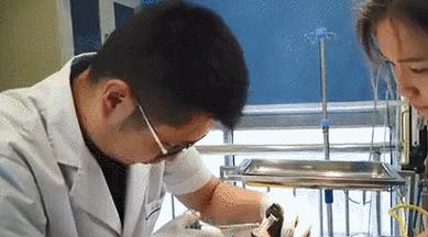 小狗为什么爱吃异物？（探究小狗吃异物的原因及解决方法）