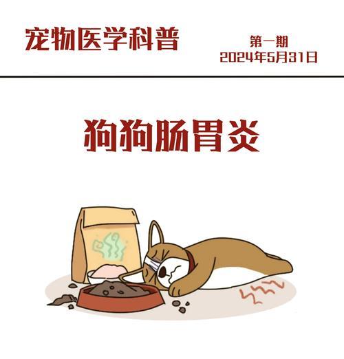 狗为何会吐虫子（探究狗吐虫的原因和预防方法）