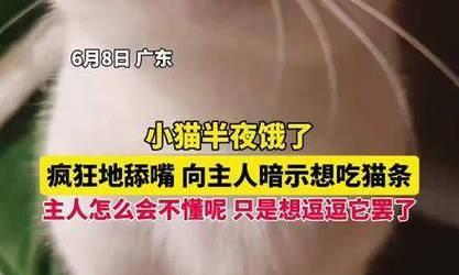 猫为什么舔地上的行为引发的种种疑问（探寻猫咪舔地的原因及相关解释）