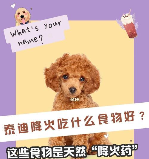 泰迪一岁的饮食指南（为你的泰迪宝宝提供健康的饮食选择）