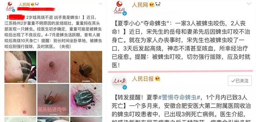 蜱虫驱除的有效方法（以何种方式驱除蜱虫更有效？）