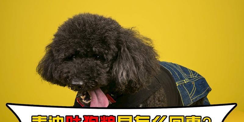 泰迪为什么经常呕吐？（探究泰迪经常呕吐的原因，及如何预防和处理。）