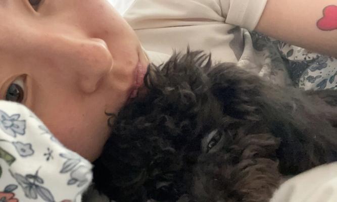 泰迪犬为什么喜欢睡觉？（探究泰迪犬喜欢睡觉的原因和重要性）