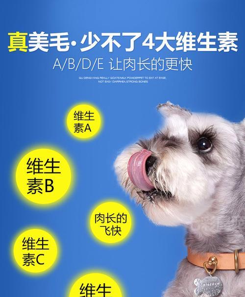 泰迪狗吃骨头吐了，如何处理？（探索泰迪狗吐骨头的原因和应对措施）