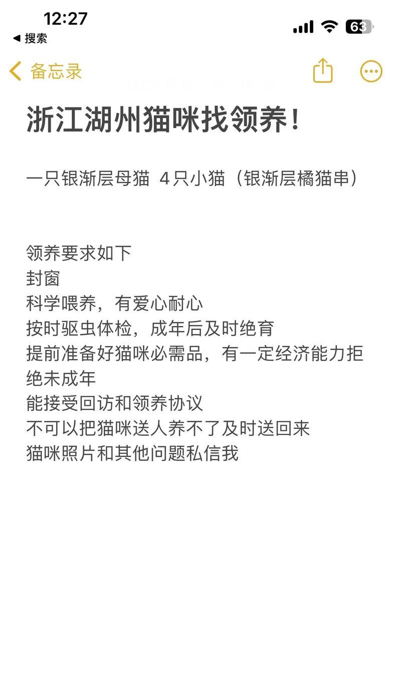 领养猫是一个好主意吗？（探讨领养猫的好处和必要性，为什么应该选择领养）