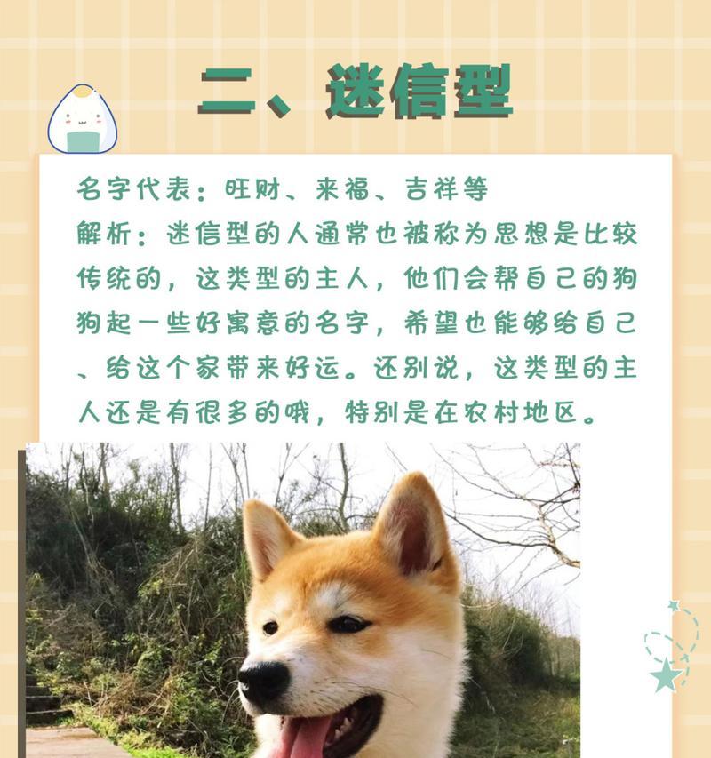狗名字的世界（探索狗名的奥秘与多样性）